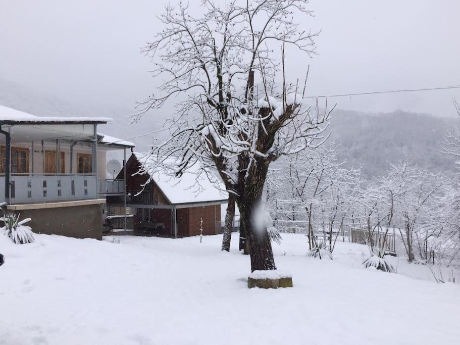 Greenhill - Your Guesthouse In Ubisa ภายนอก รูปภาพ